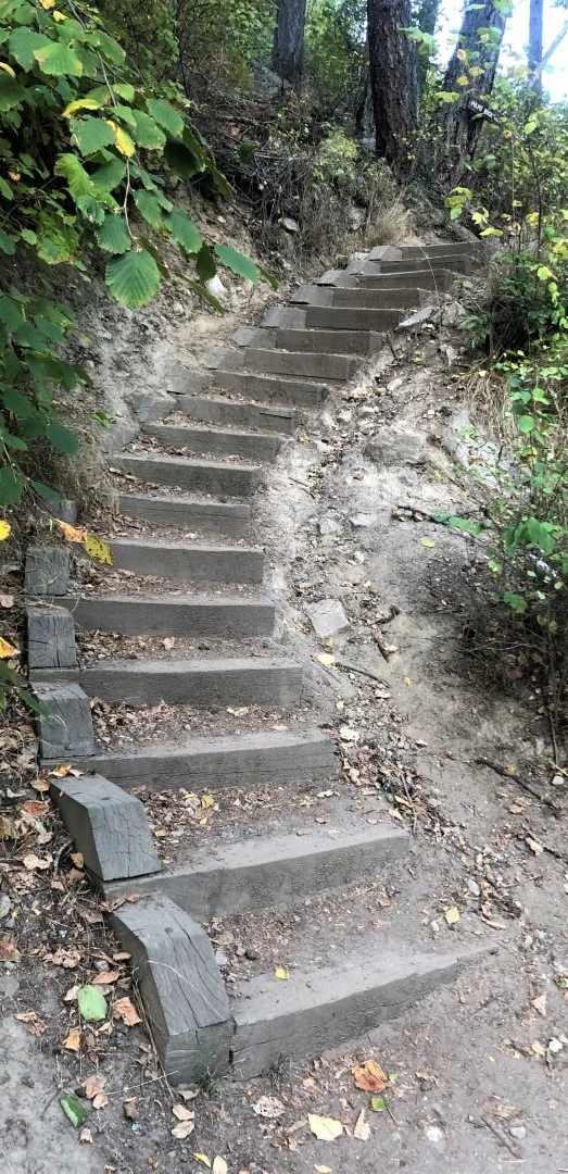 Well-weathered and sturdy wooden stairs built into a steep section of the Pulpit Rock Trail, winding upwards