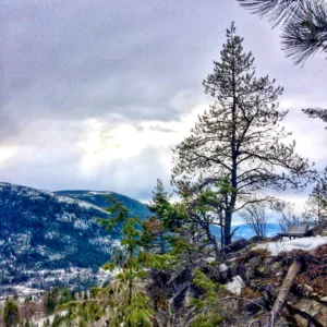 Spring Day: Serene View Down the Valley